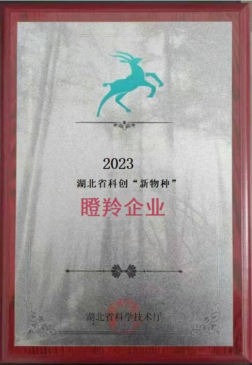 瞪羚企业